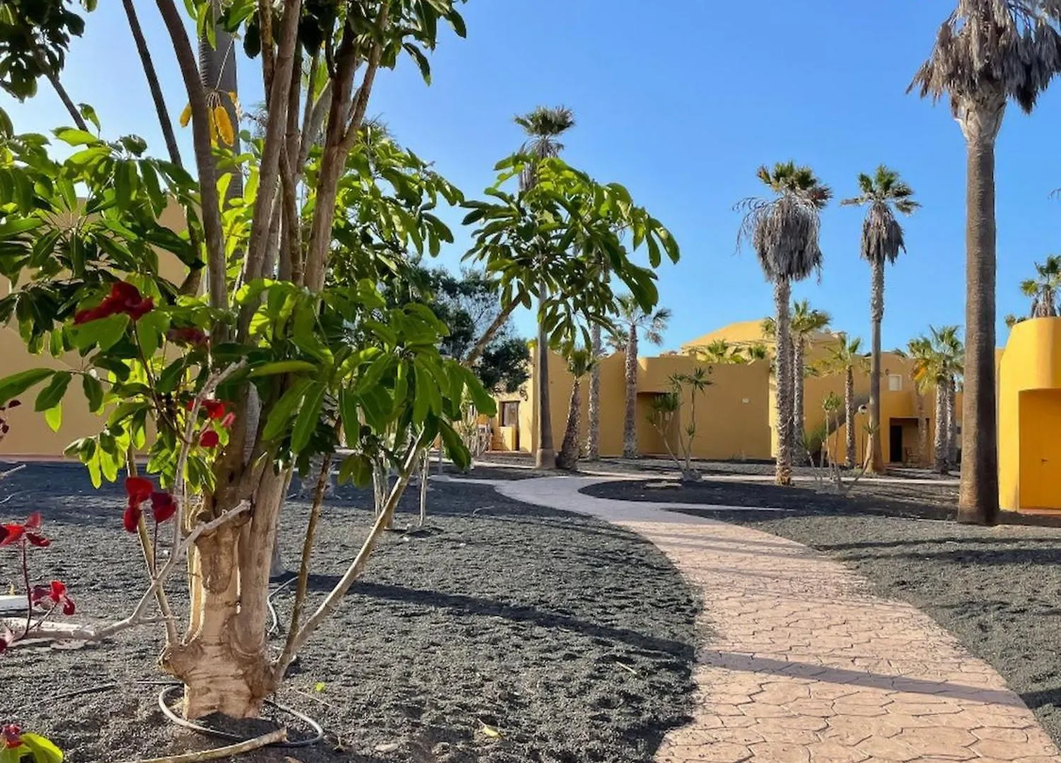 Apartment Oasis Casa Marella By Rentalfue Corralejo Spain